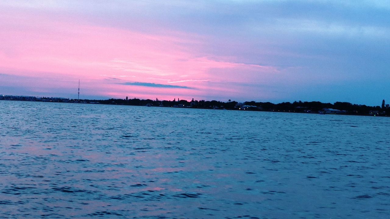 Photo of Others in Hutchinson Island South
