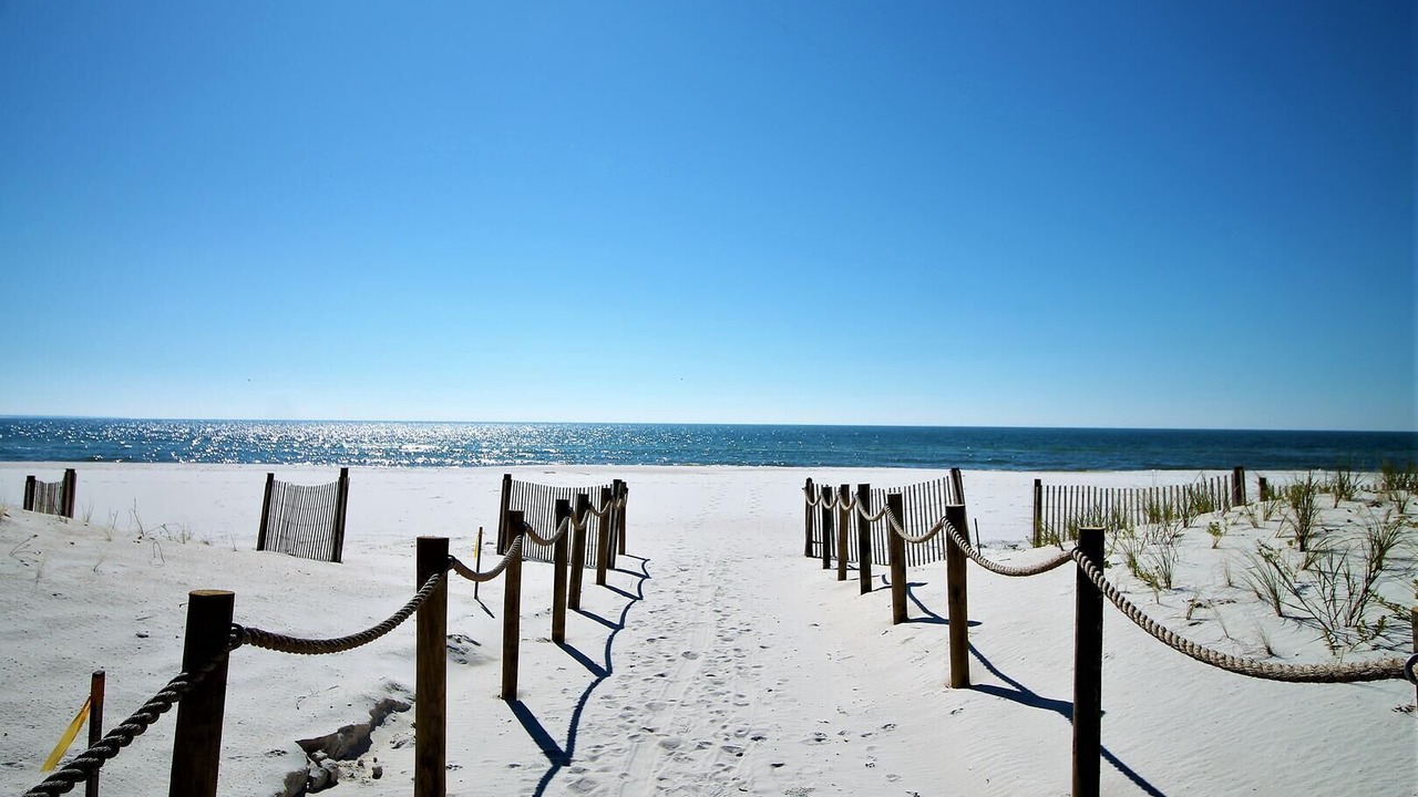 Photo of Others in Mexico Beach