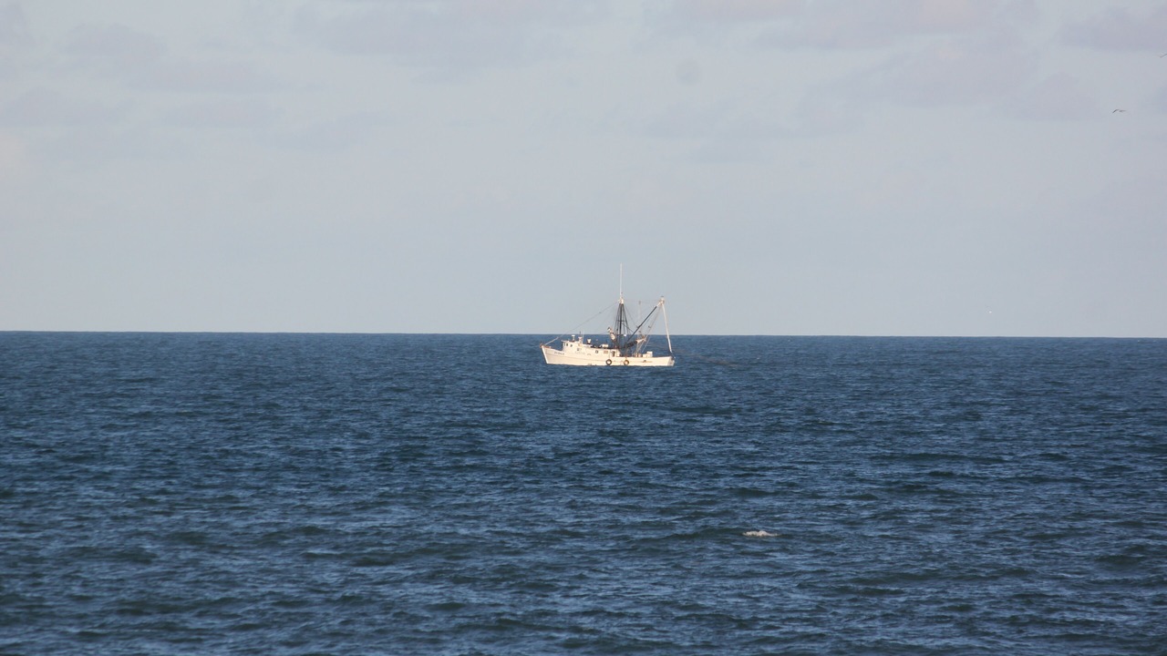 Photo of Others in Crescent Beach
