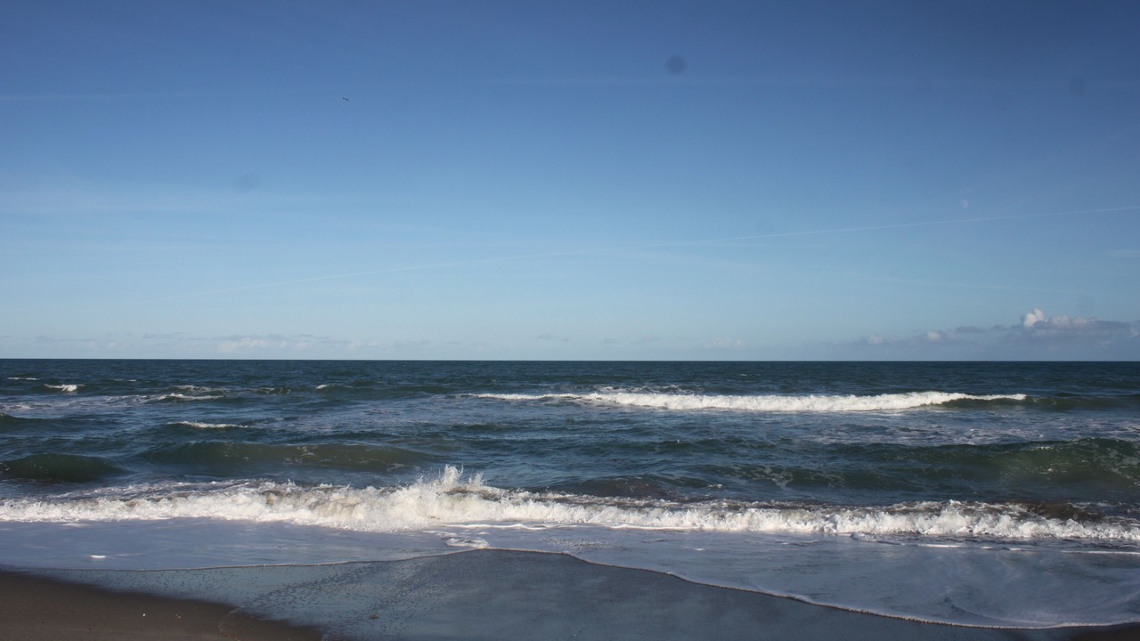 Photo of Others in Crescent Beach