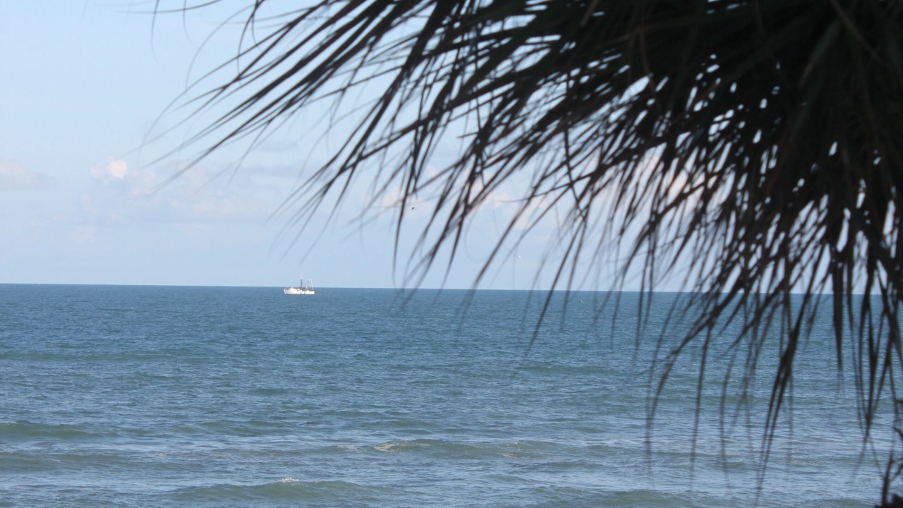 Photo of Others in Crescent Beach