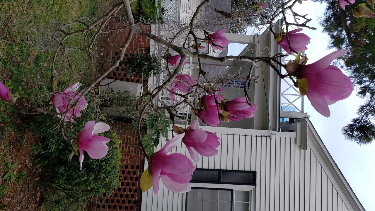 Photo of Outdoor in Monticello