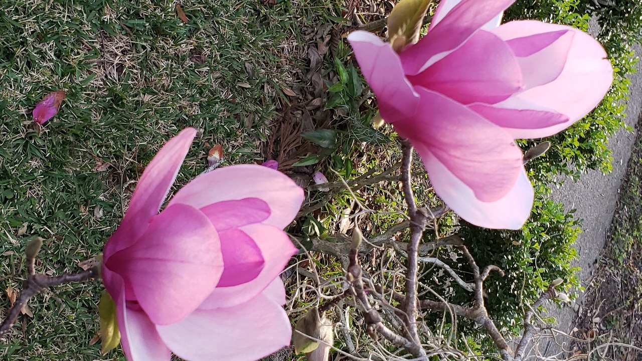 Photo of Outdoor in Monticello