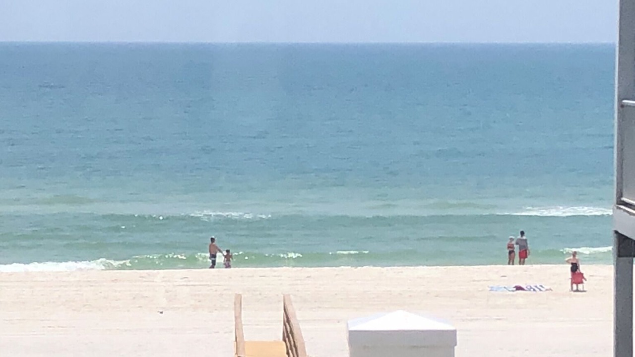 Photo of Others in Cape San Blas