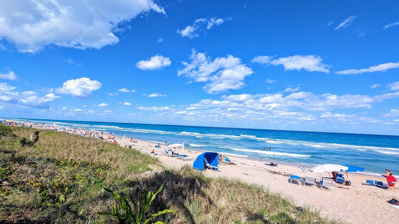 Photo of Others in Lake Worth
