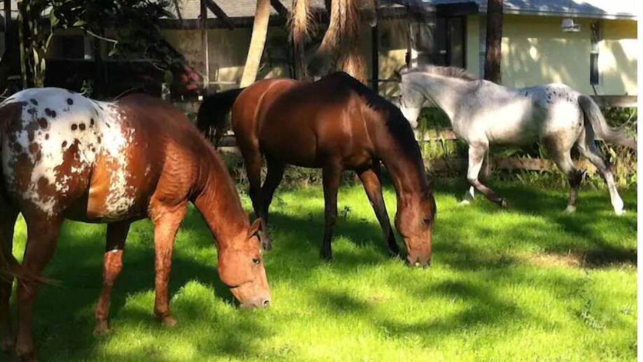 Photo of Others in Loxahatchee