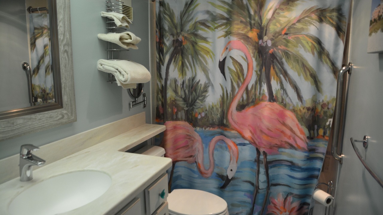 Photo of Bathroom in St. Pete Beach