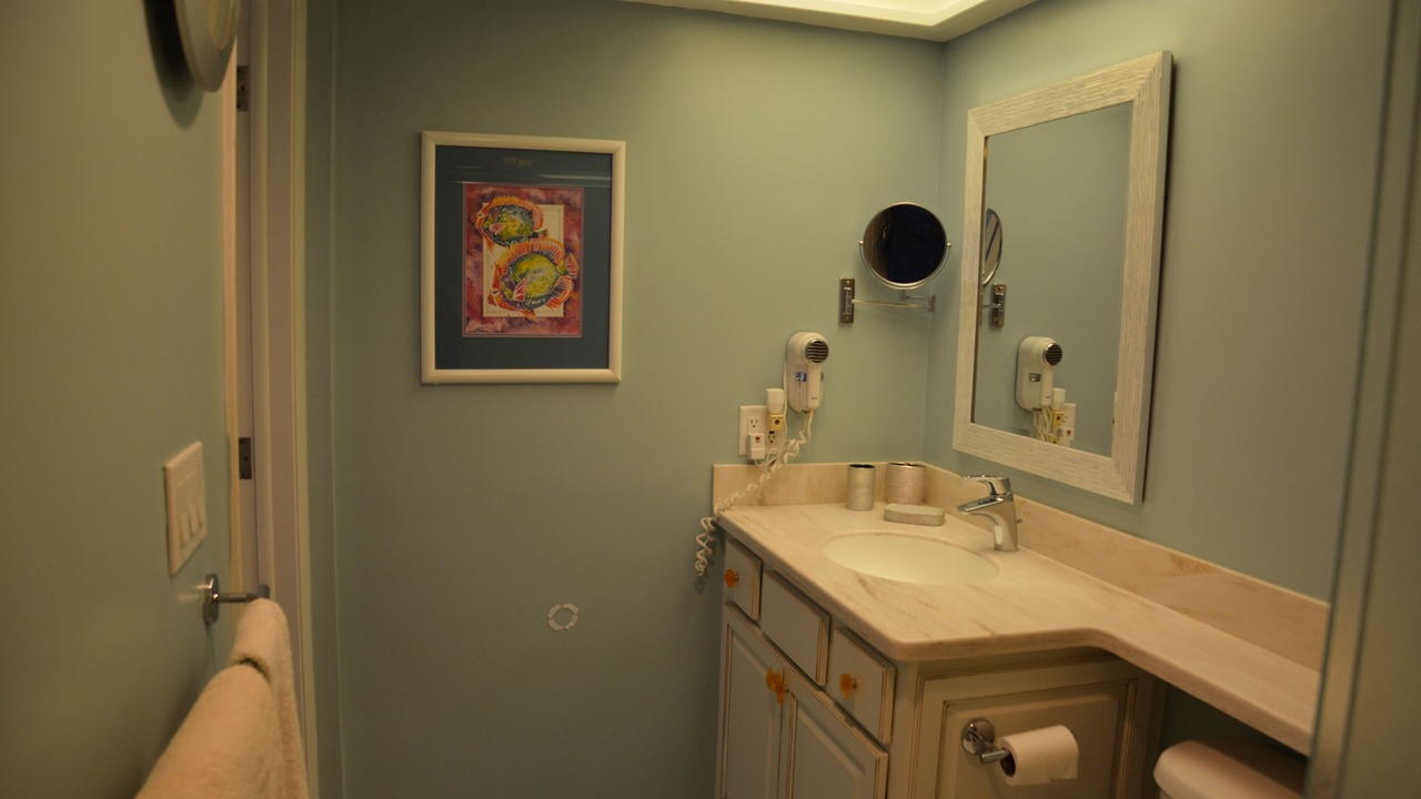 Photo of Bathroom in St. Pete Beach