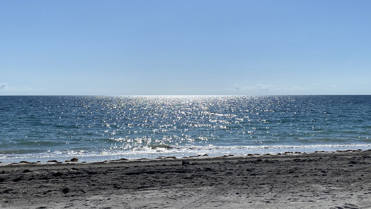 Photo of Others in Key Biscayne