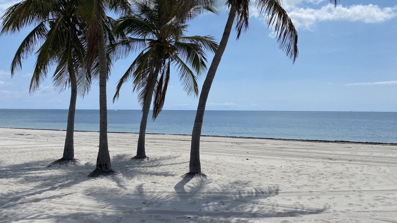 Photo of Others in Key Biscayne