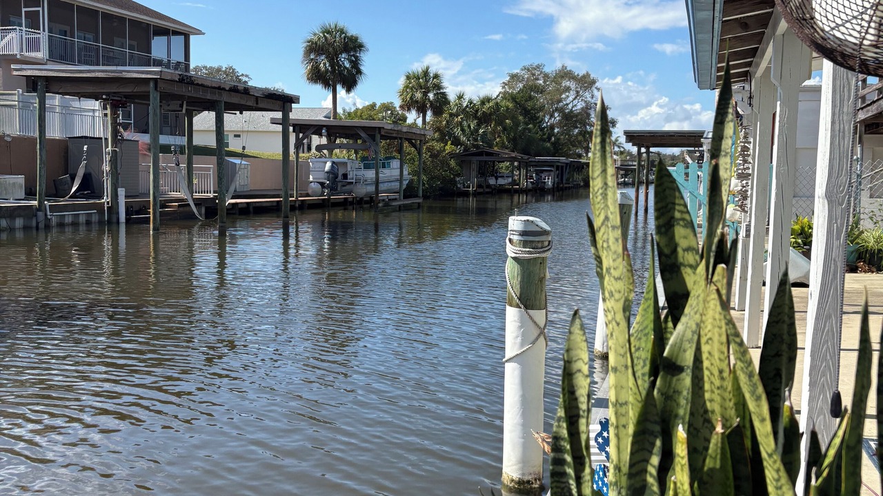 Photo of Outdoor in Indian Harbor Estates