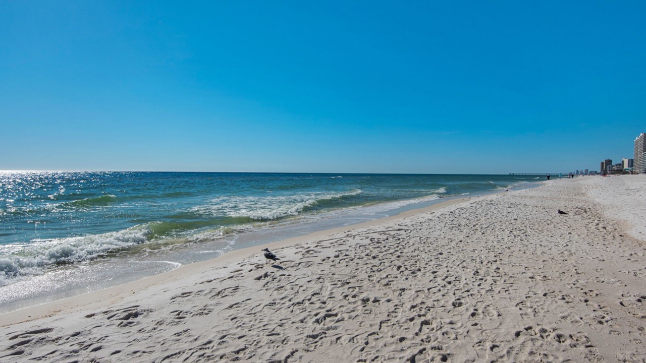 Photo of Others in Rosemary Beach