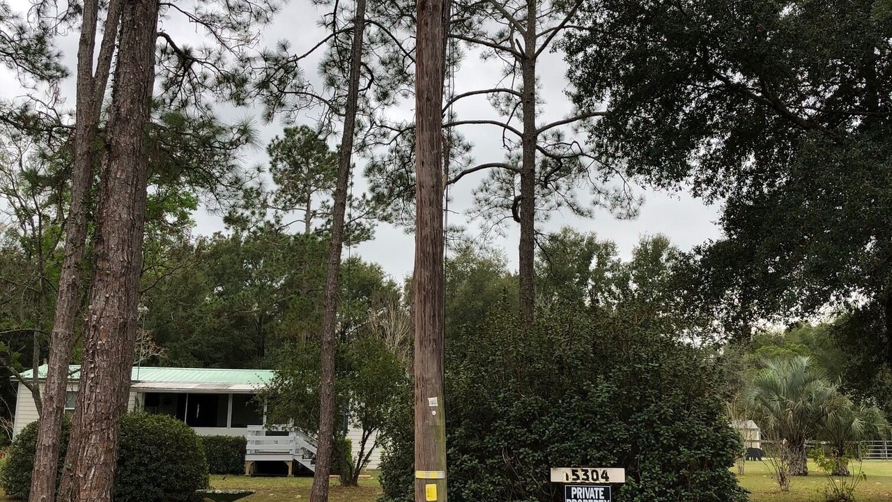 Photo of Outdoor in Ocklawaha