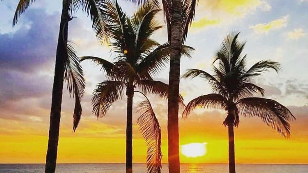 Photo of Others in Key Biscayne