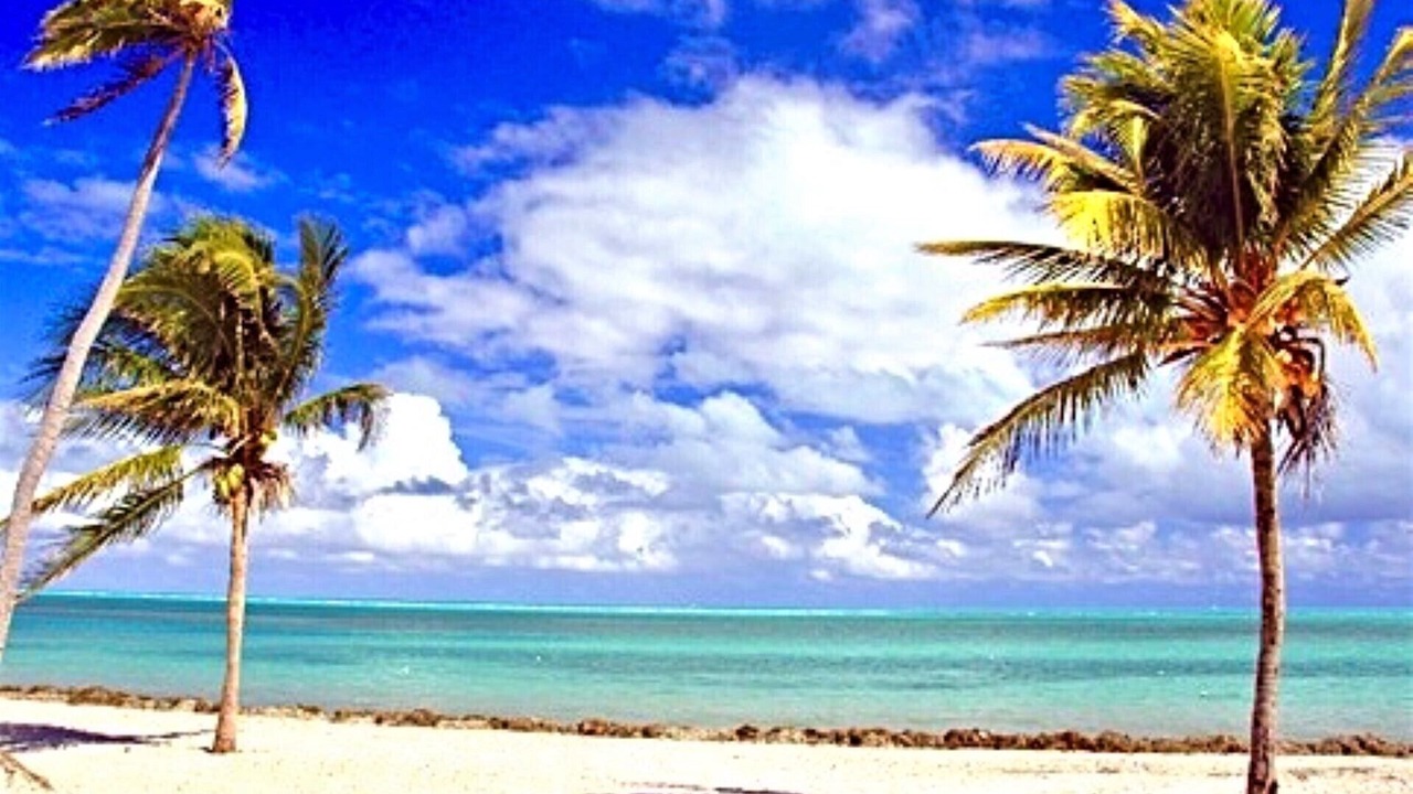 Photo of Others in Key Biscayne