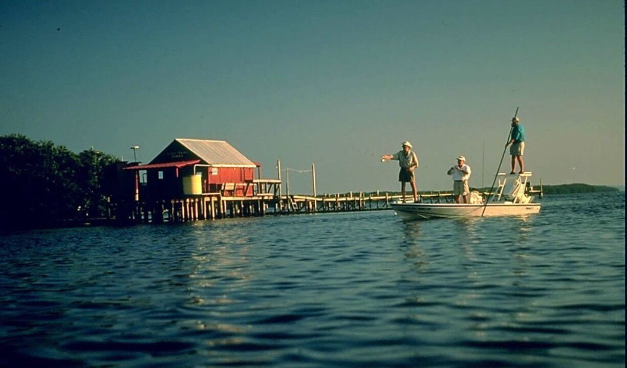 Photo of Outdoor in South Island
