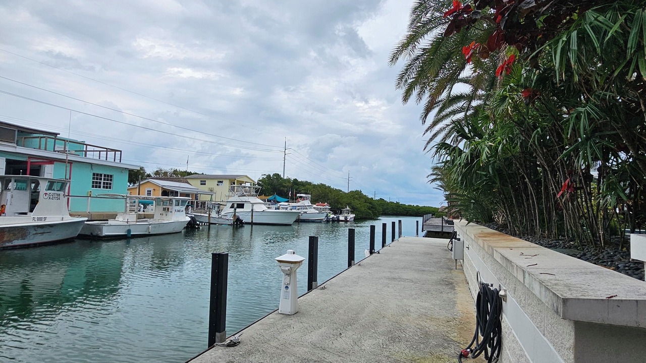 Photo of Others in Tavernier