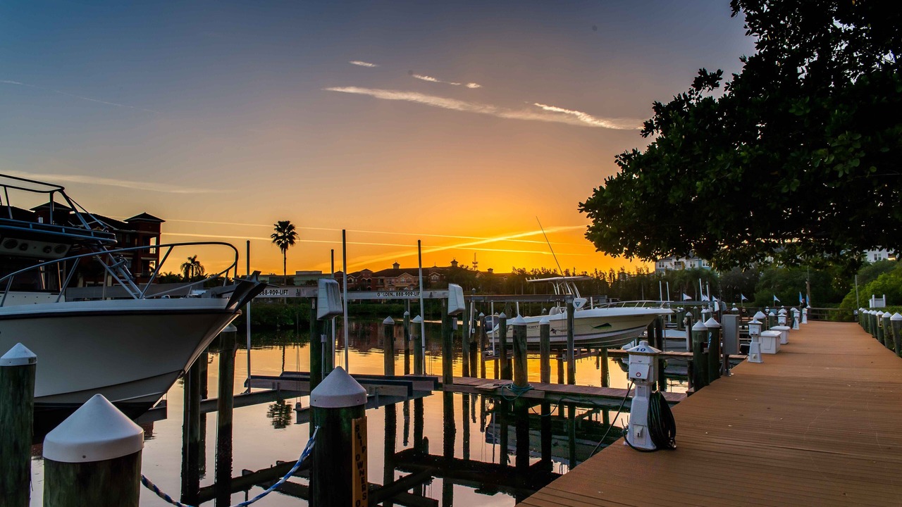 Photo of Others in Clearwater