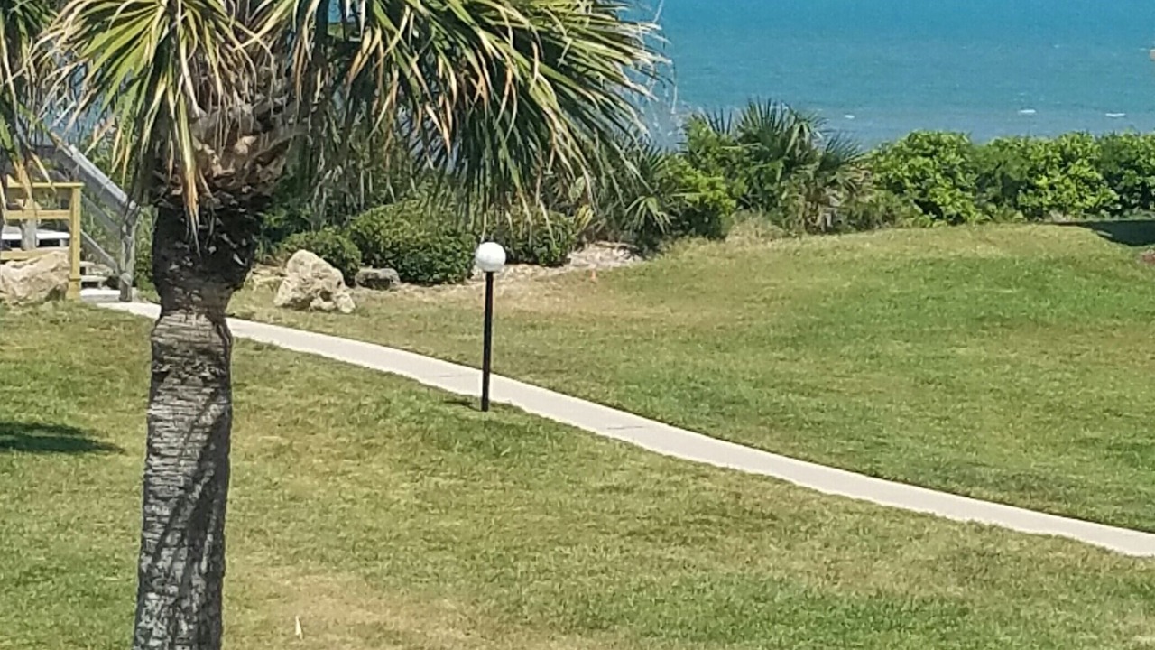 Photo of Outdoor in Crescent Beach