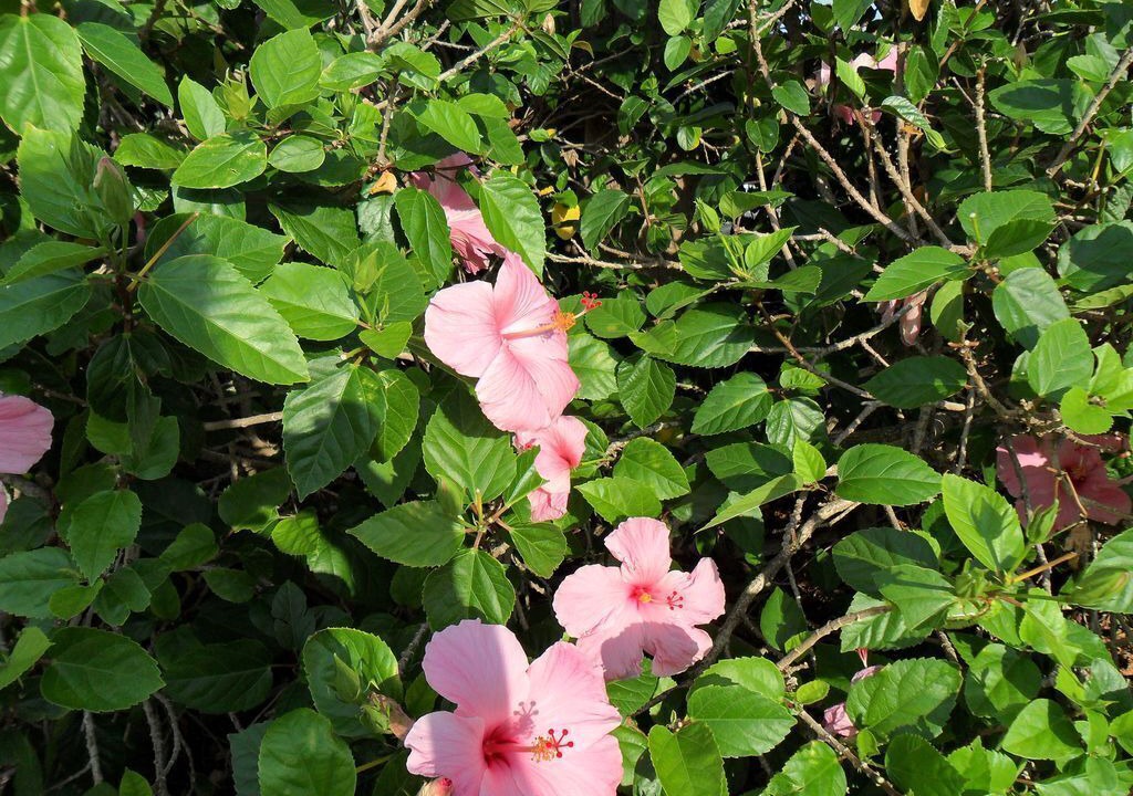 Photo of Outdoor in Tierra Verde