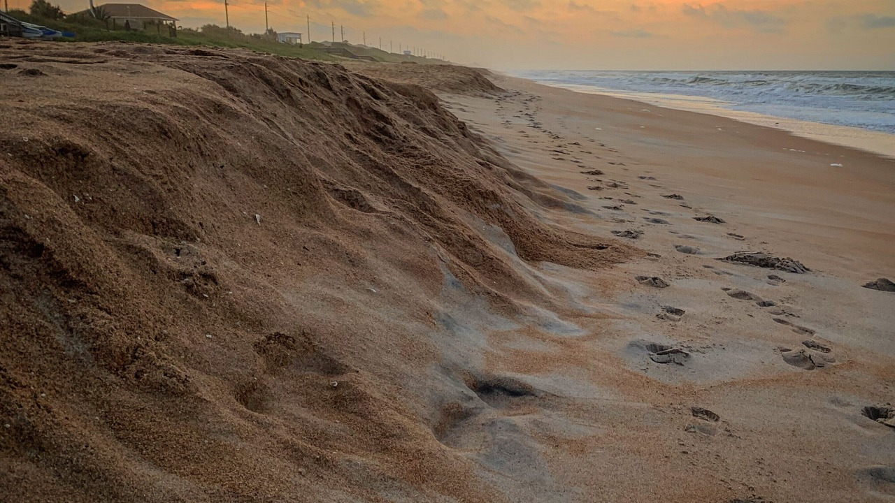 Photo of Others in Volusia County
