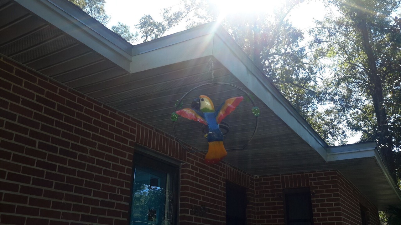 Photo of Outdoor in Tallahassee