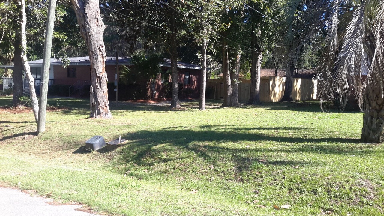 Photo of Outdoor in Tallahassee