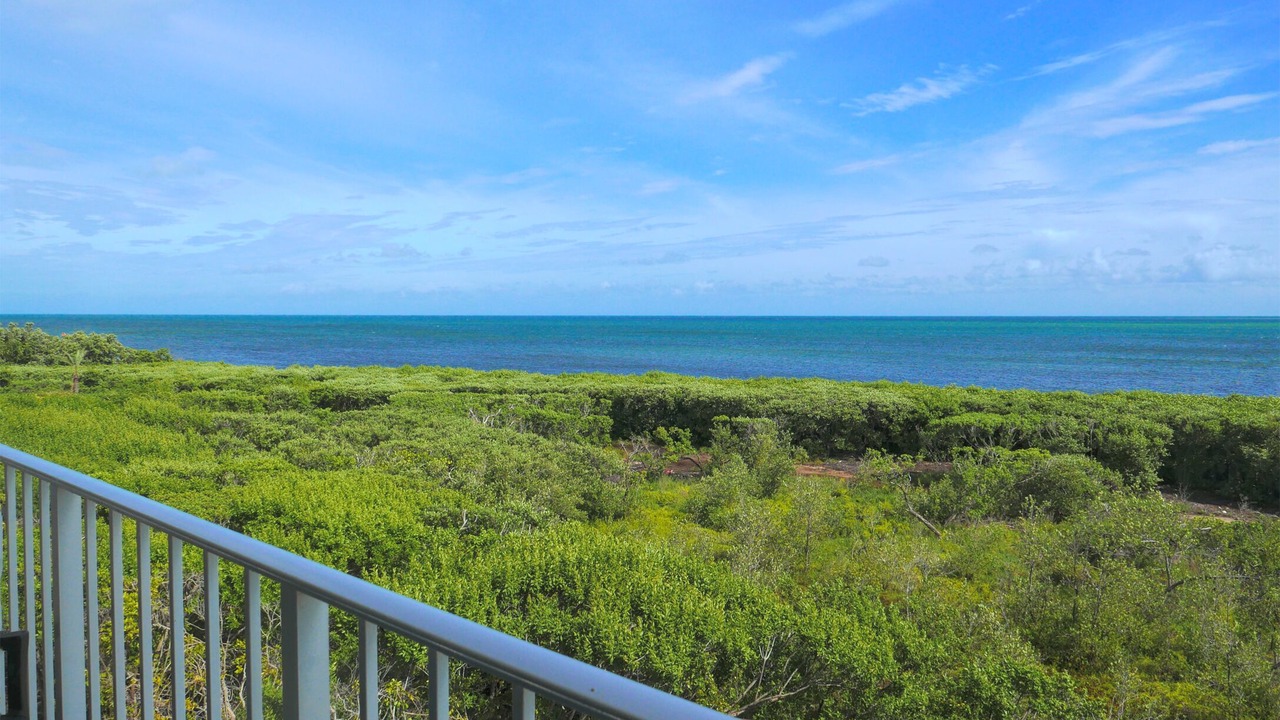 Photo of Outdoor in Tavernier