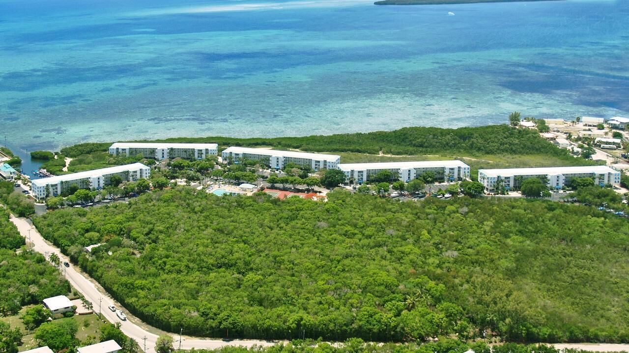 Photo of Outdoor in Tavernier