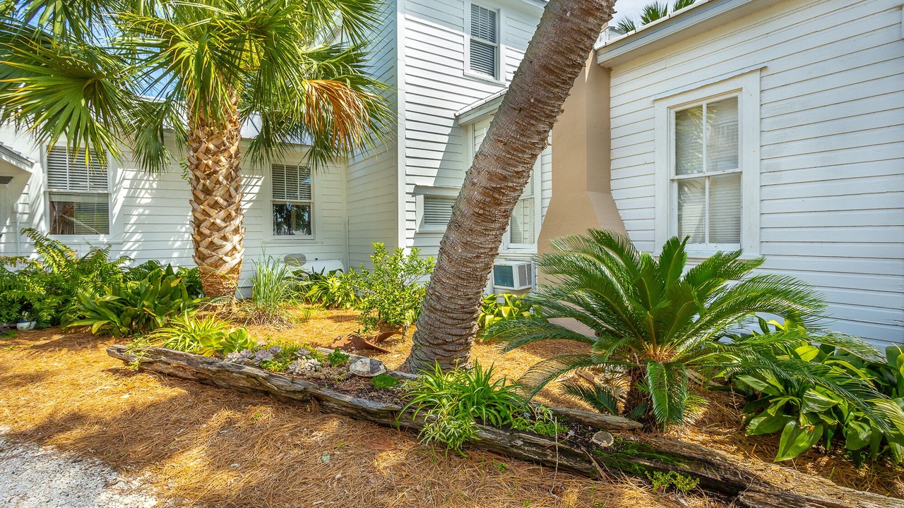 Photo of Outdoor in Historic Downtown Apalachicola