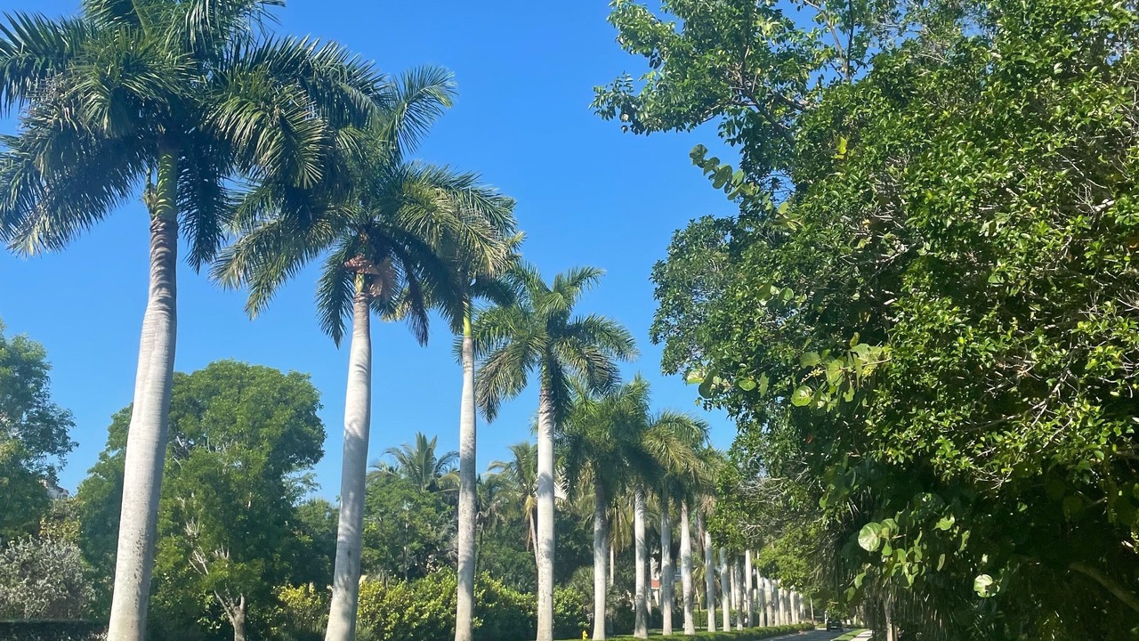 Photo of Outdoor in Hammock Bay
