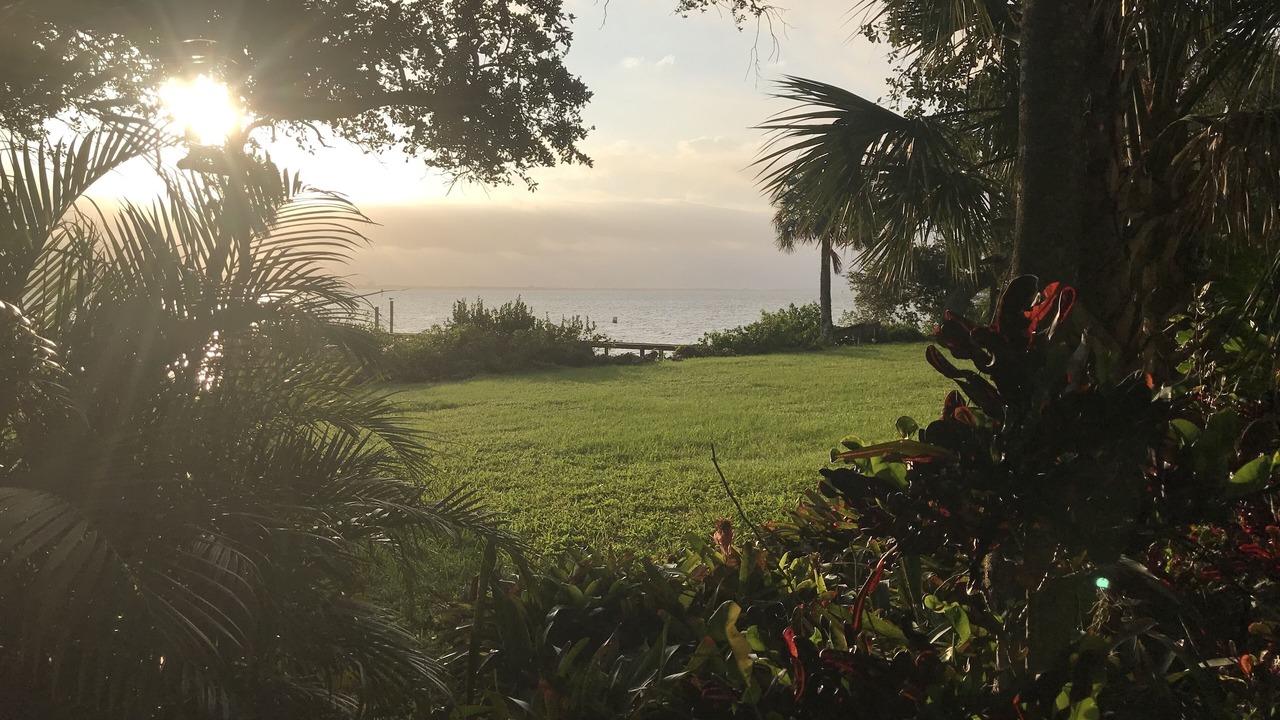 Photo of Outdoor in Sunny Point