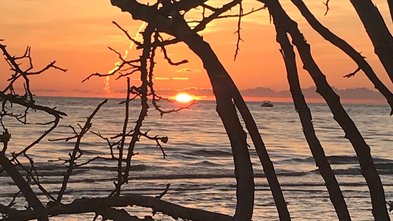 Photo of Outdoor in North Naples