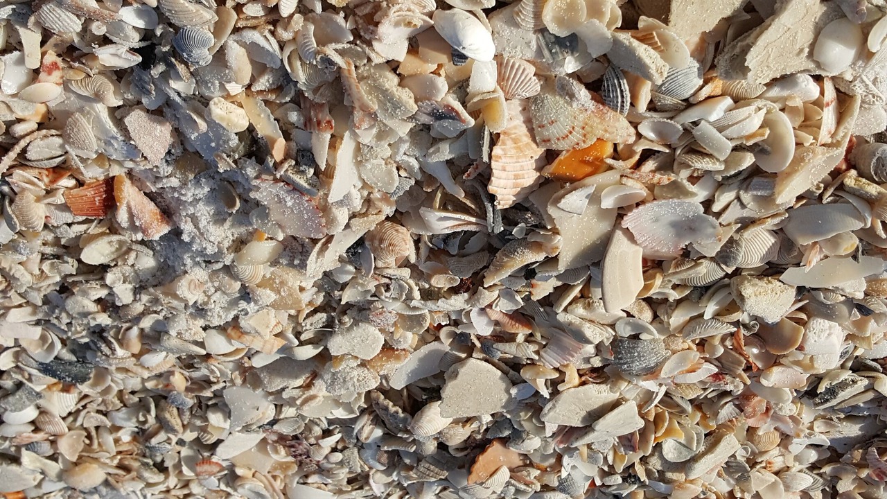 Photo of Outdoor in Brent