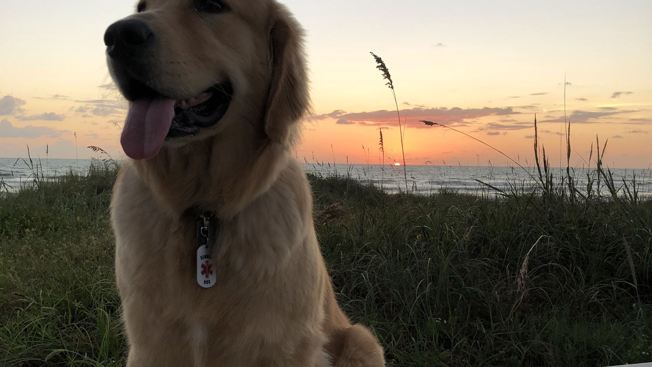 Photo of Others in Ponce Inlet