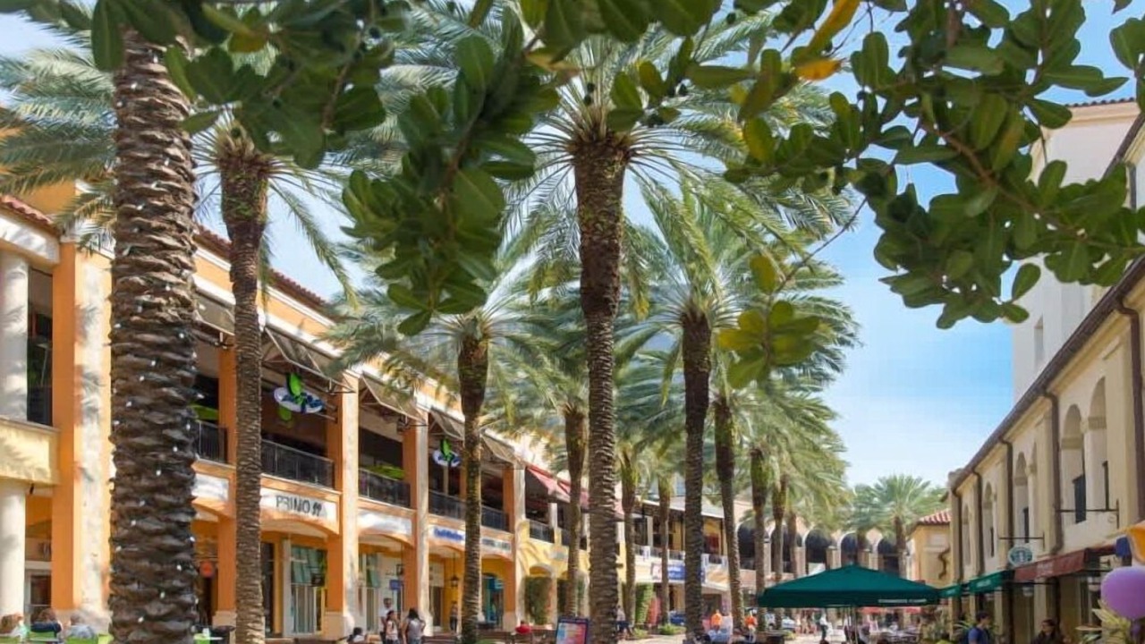 Photo of Others in Flamingo Parks