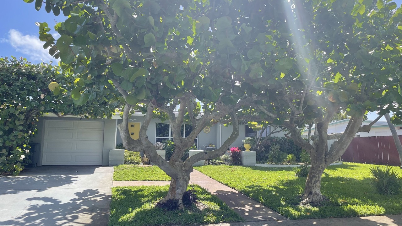 Photo of Outdoor in Florida North Atlantic Coast