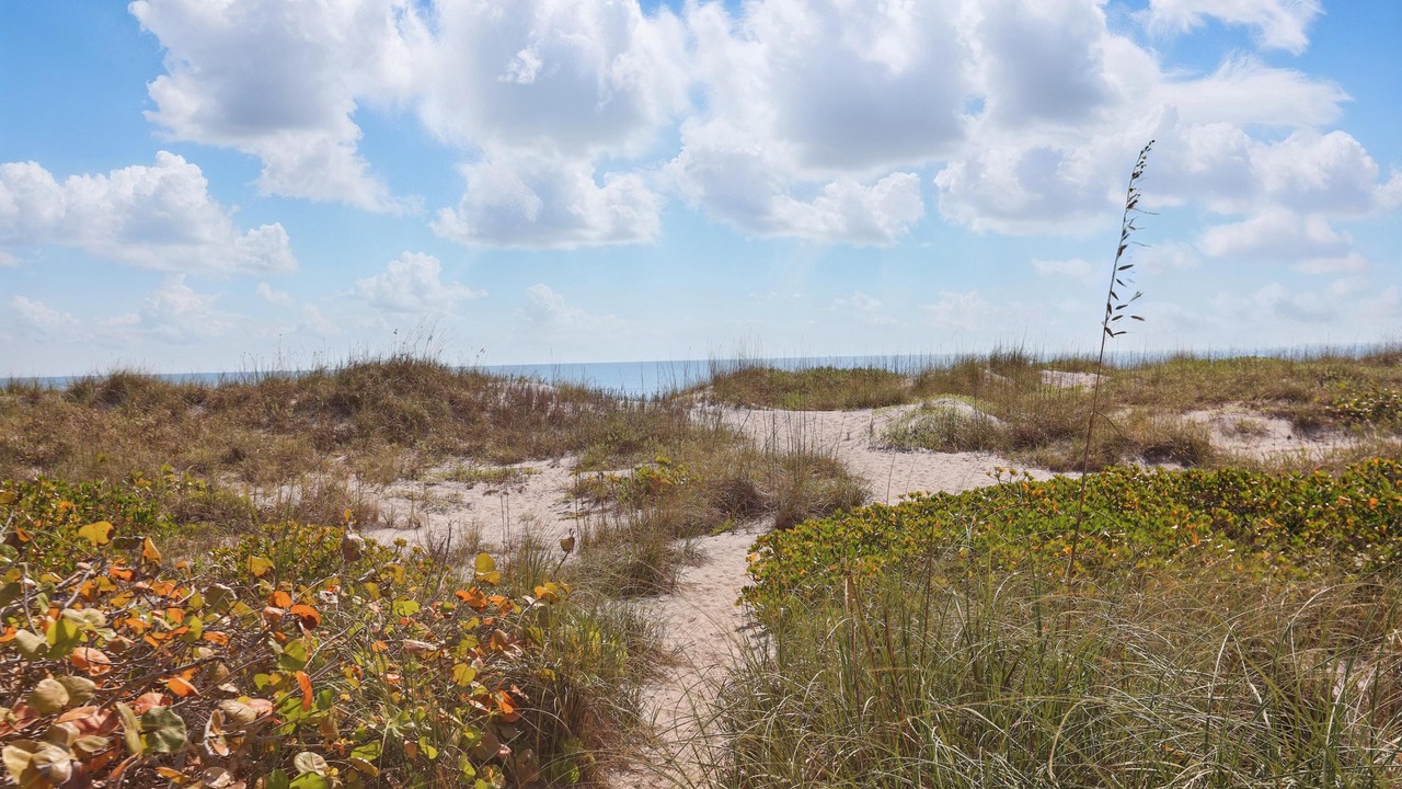 Photo of Others in Cocoa Beach