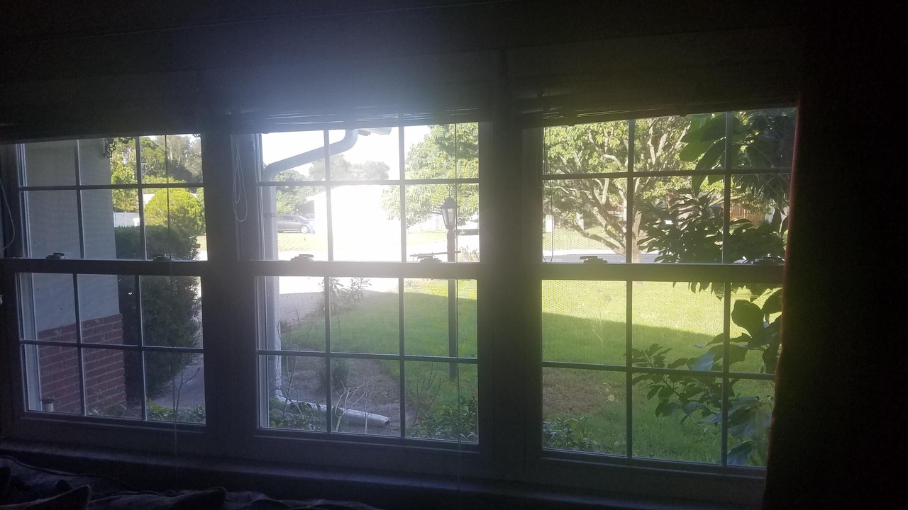 Photo of Others in Disston Heights