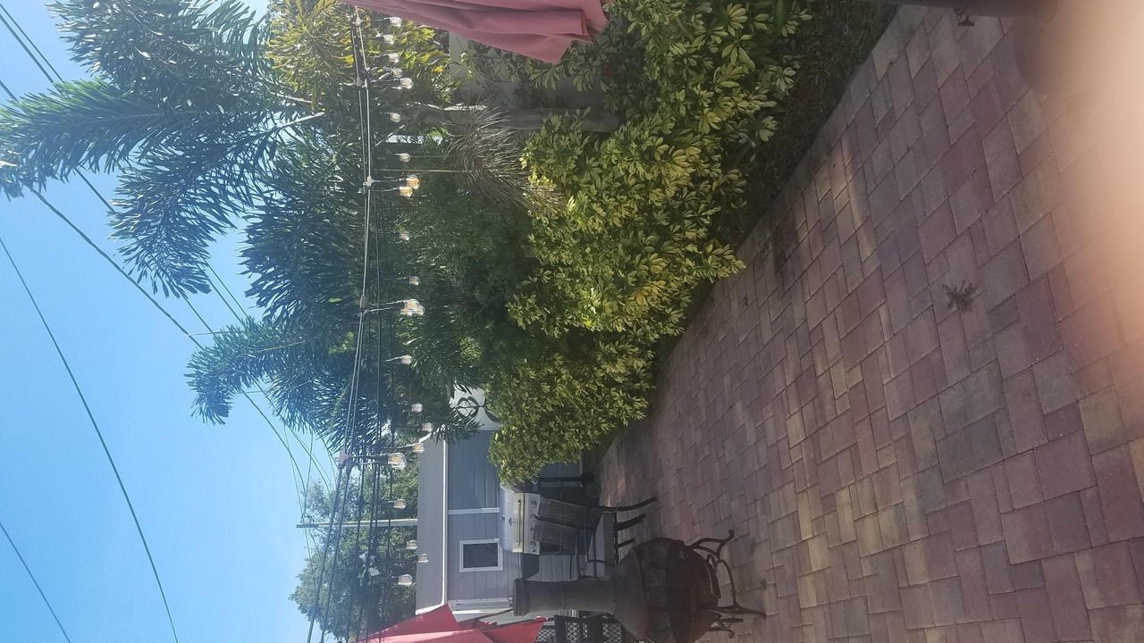 Photo of Outdoor in Disston Heights