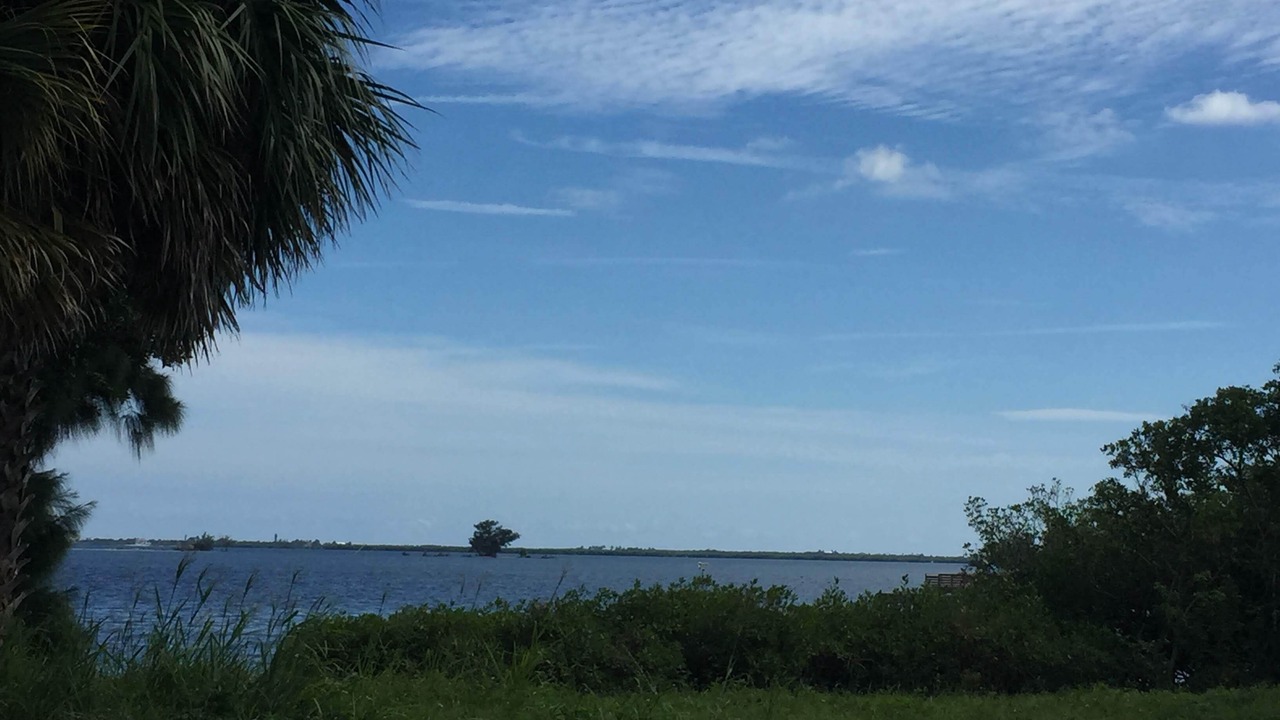 Photo of Others in Sebastian