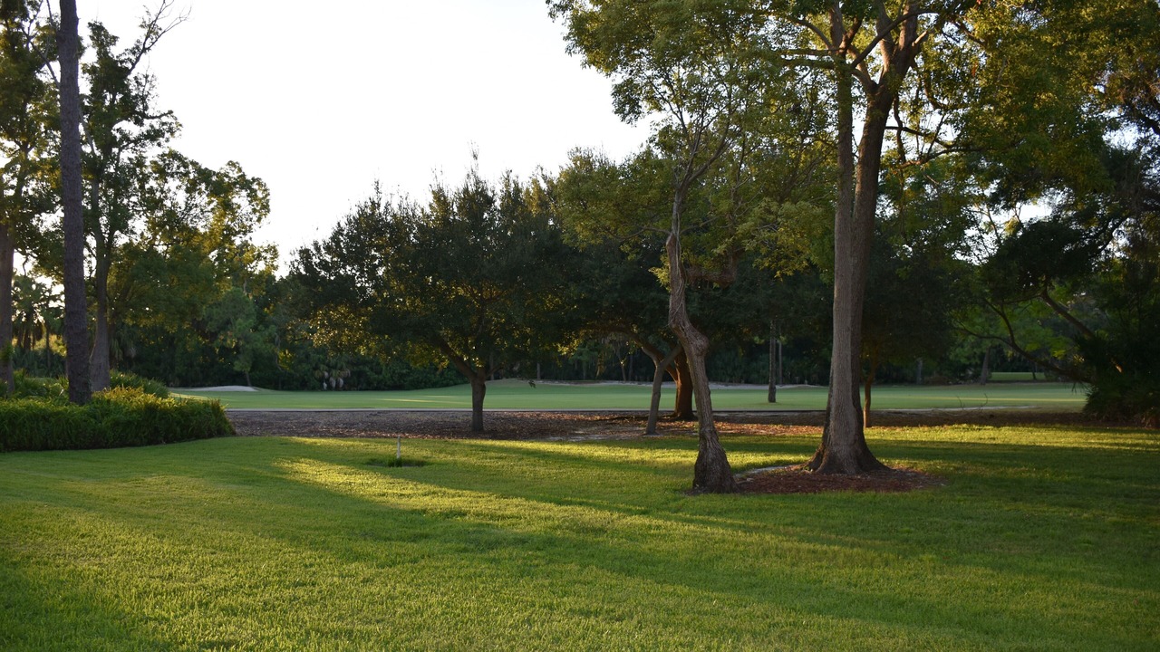 Photo of Others in Palm Harbor