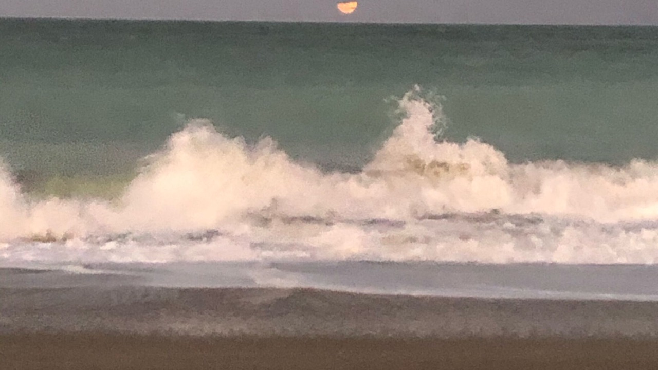 Photo of Others in Fort Pierce