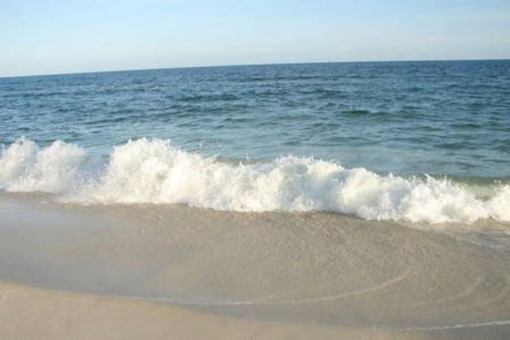 Photo of Others in Gulf Shores