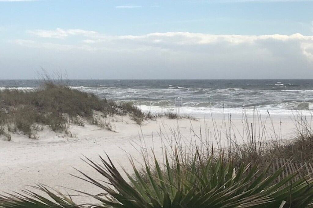 Photo of Others in Gulf Shores