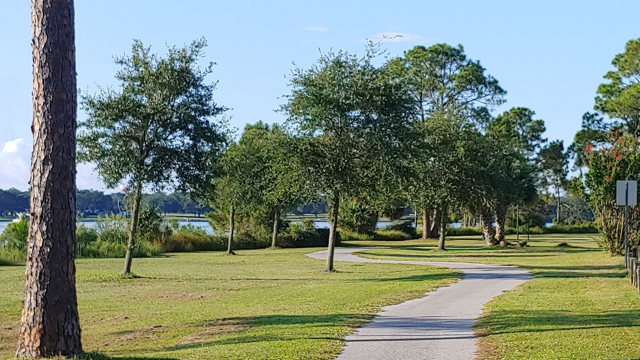Photo of Others in Navy Point