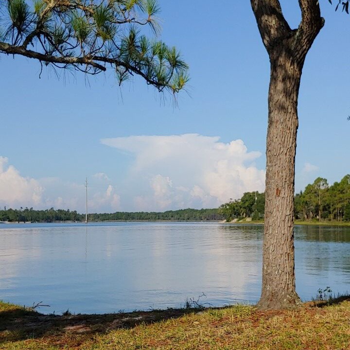 Photo of Others in Navy Point