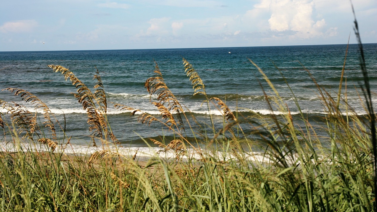 Photo of Others in Hutchinson Island South