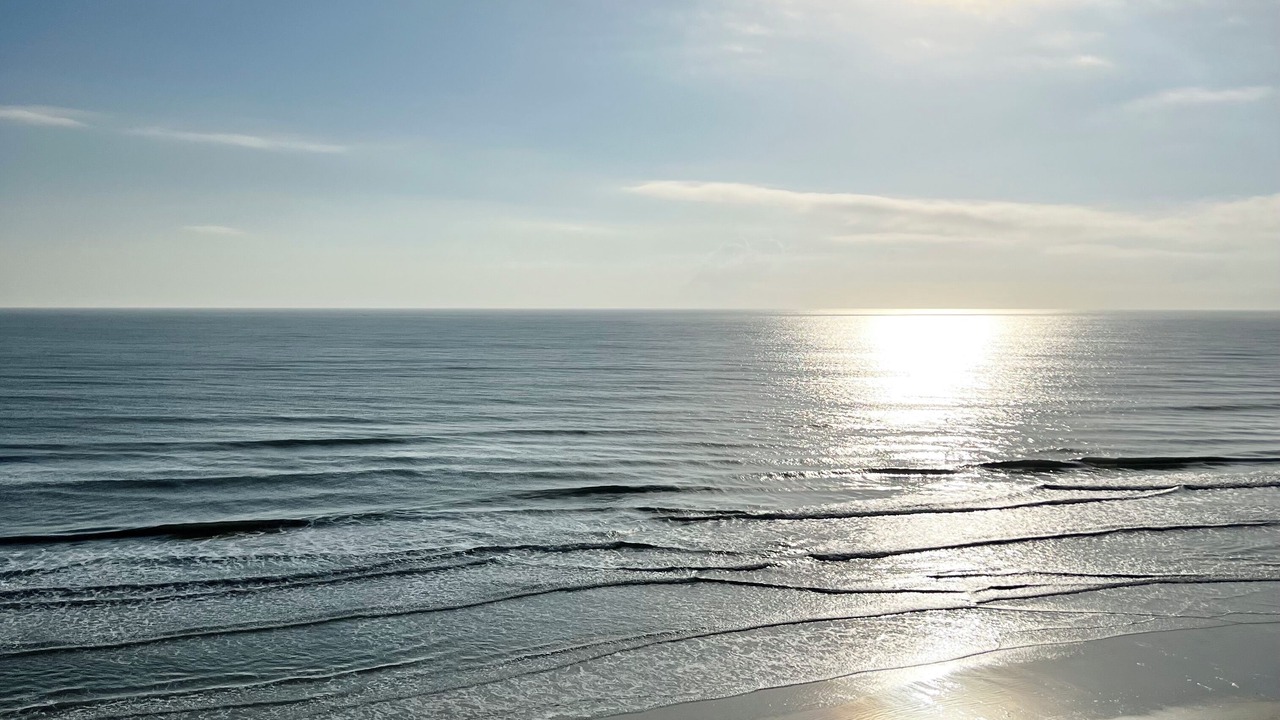 Photo of Others in Ponce Inlet