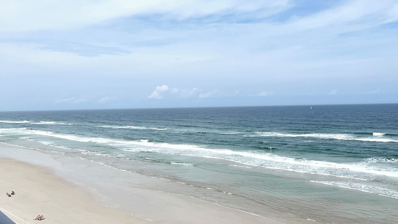 Photo of Others in Ponce Inlet